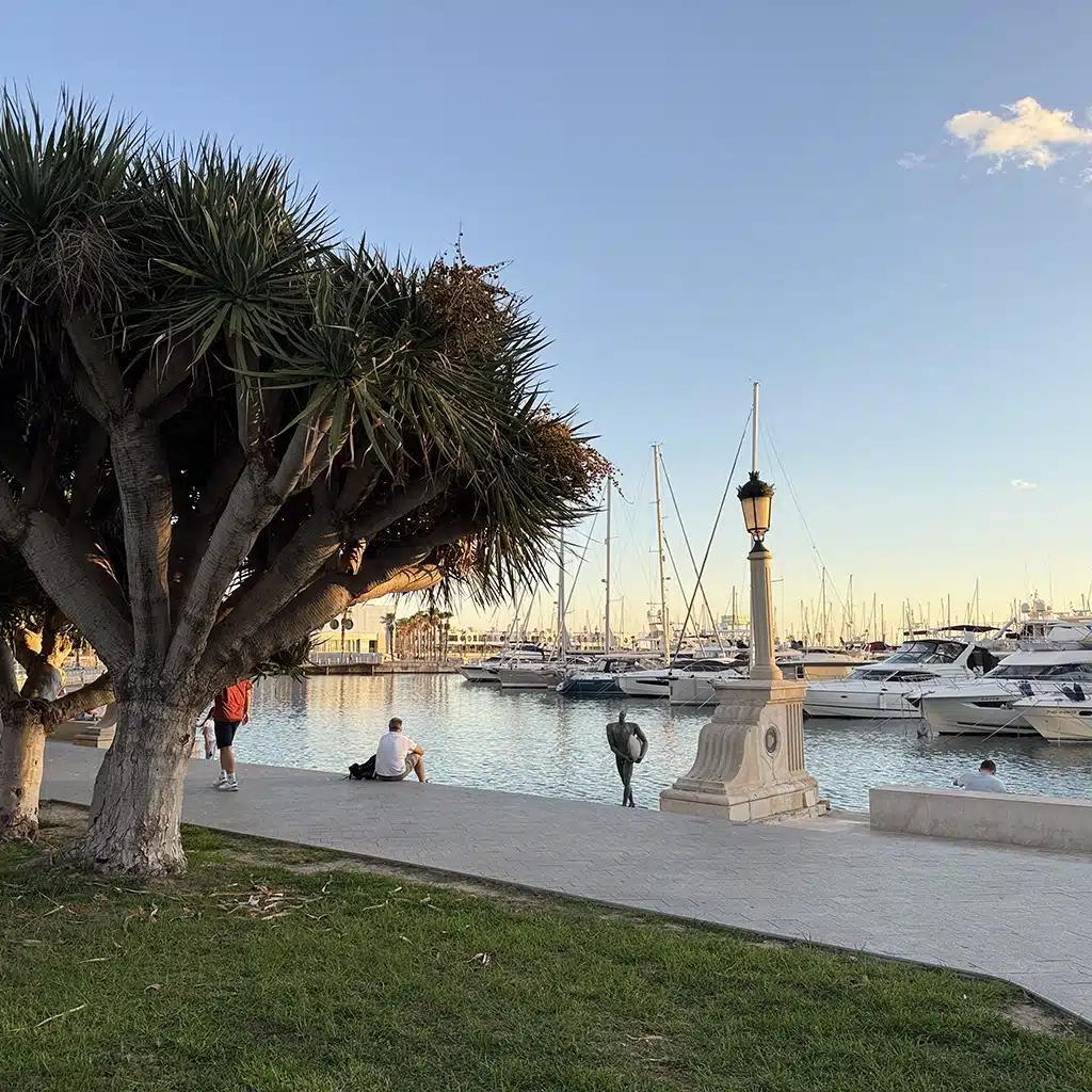 alicante-varosnezes
